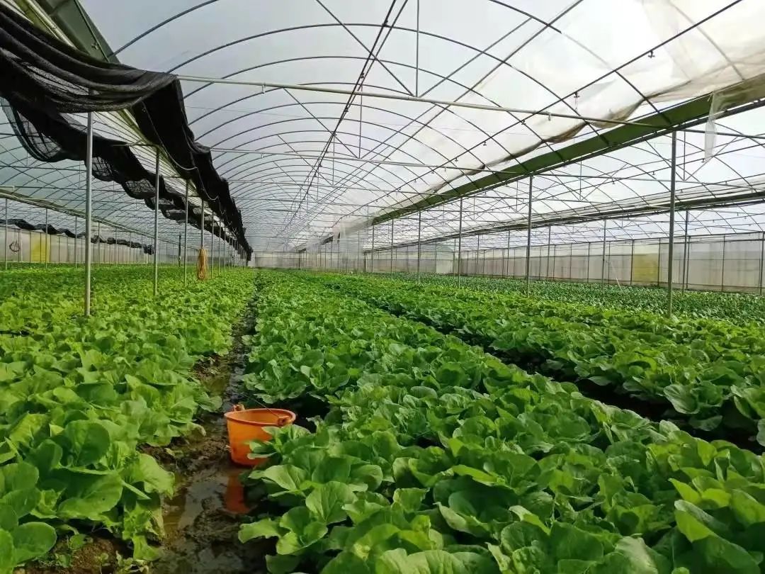 1664333099508039.jpg 1.jpg